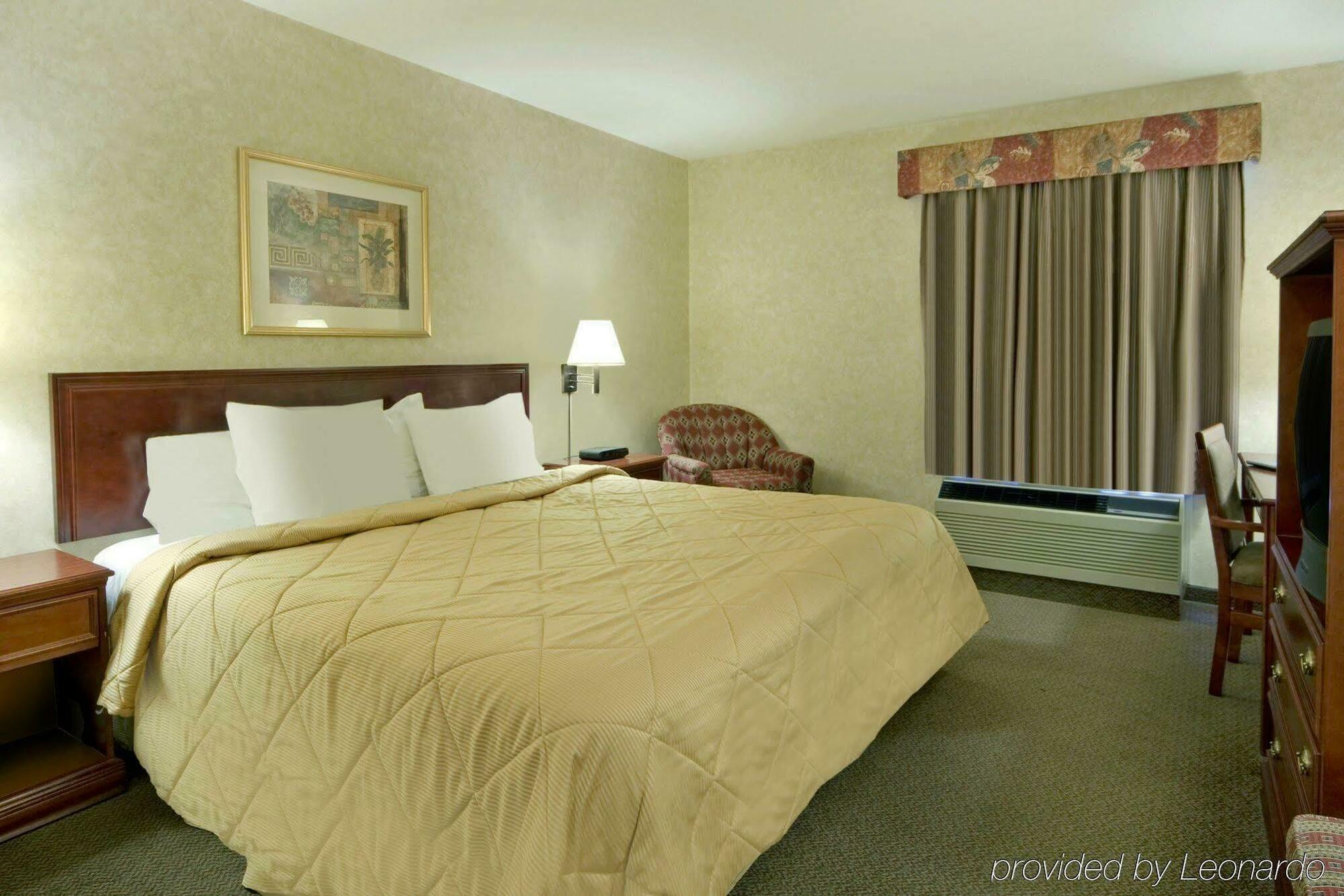 Comfort Inn & Suites University YYC Oda fotoğraf